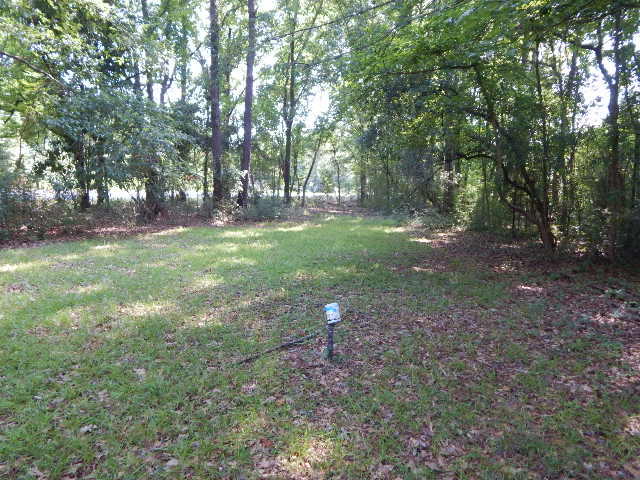 6739 Toogoodoo Road Hollywood, SC 29449 - Photo 9 of 9 DSCN0459
