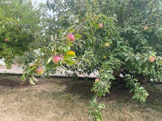 a backyard of a house with lots of green space