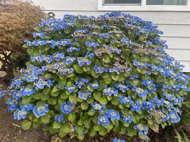 a view of a storage & utility room
