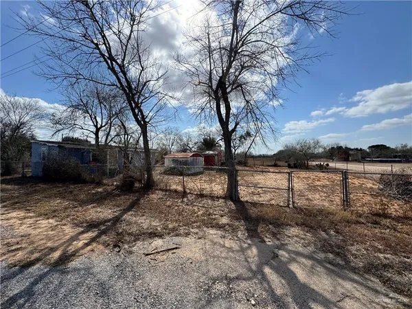 a view of backyard with table and chairs and a large tree