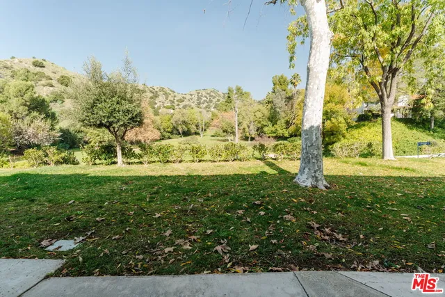 a view of a yard with a tree