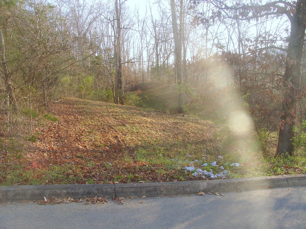 11 Pleasant Oaks Road Sevierville, TN 37876 - Photo 3 of 6