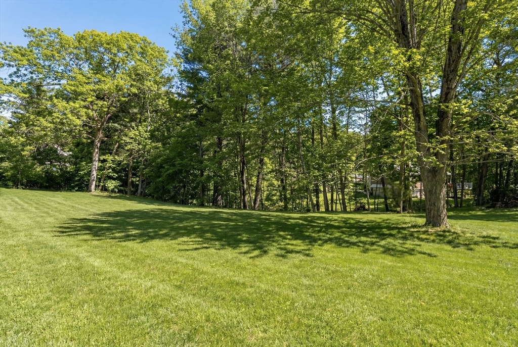 41 Scadding Street Taunton, MA 02780 - Photo 3 of 29