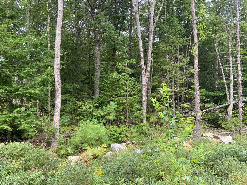 0 Baker Rd Wells Wells, ME 04090 - Photo 3 of 9 Pic 2