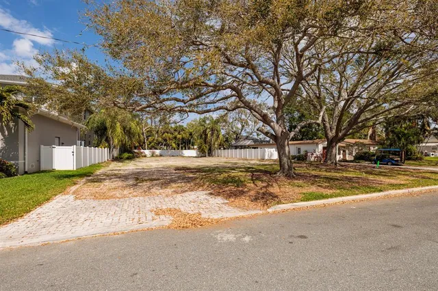 a view of road with large trees