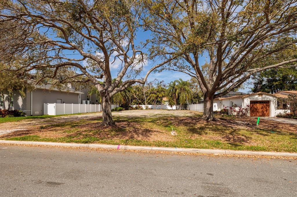 446 Rafael Boulevard Northeast St. Petersburg, FL 33704 - Photo 4 of 20 a view of a yard with a tree