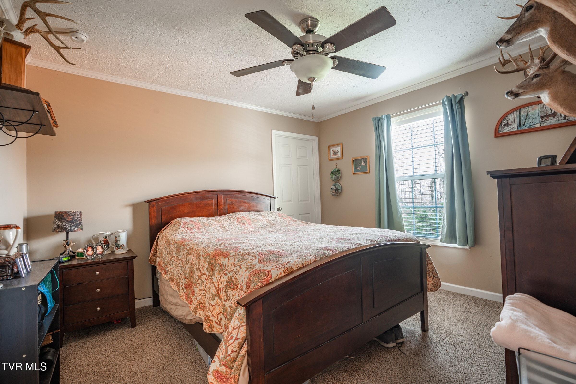 1144 Myrtle Drive Butler, TN 37640 - Photo 13 of 36 Guest bedroom-compressed