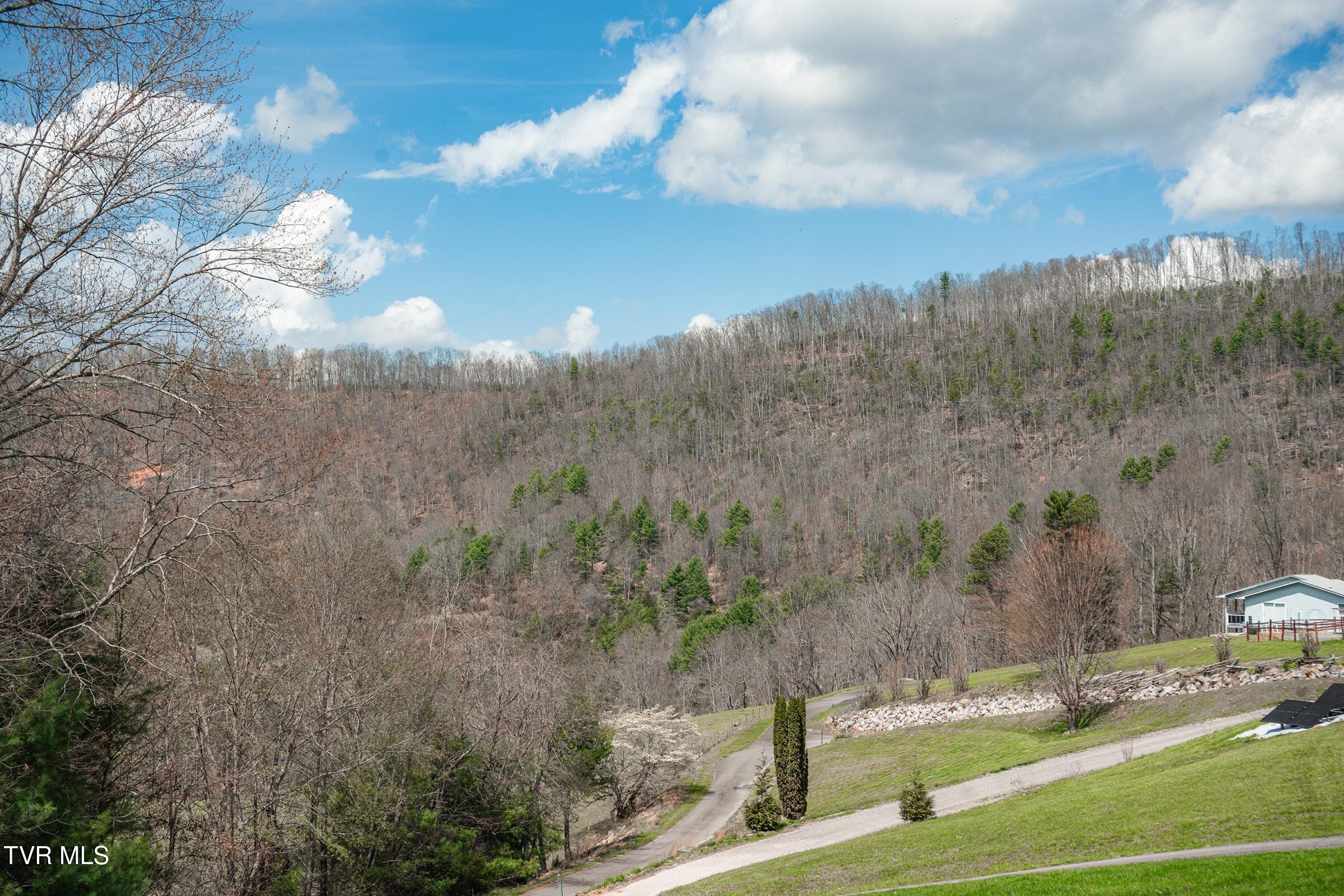 1144 Myrtle Drive Butler, TN 37640 - Photo 32 of 36 View from back porch-compressed