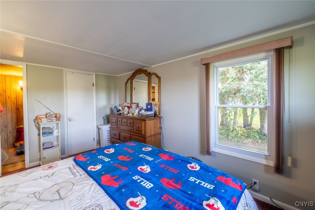 470 Chatfield Road Elbridge, NY 13060 - Photo 16 of 32