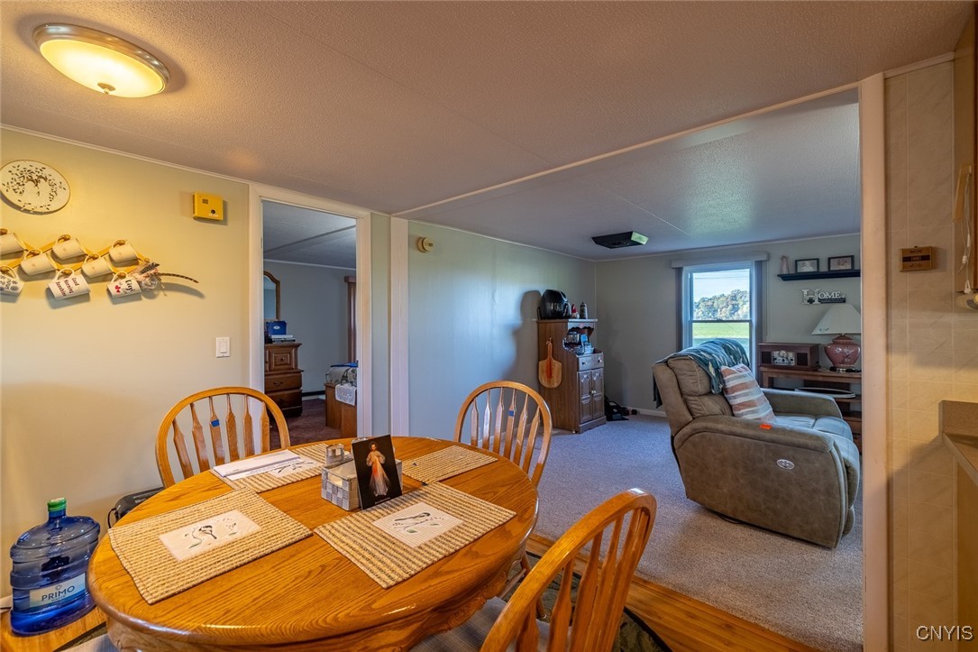 470 Chatfield Road Elbridge, NY 13060 - Photo 32 of 32 Open floor plan concept.