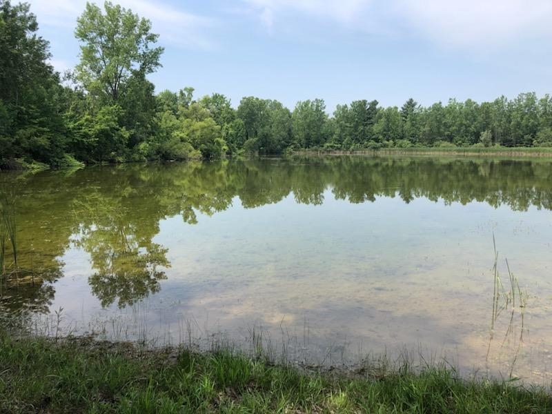 Tbd Lone Pine Road Farwell, MI 48622 - Photo 8 of 10