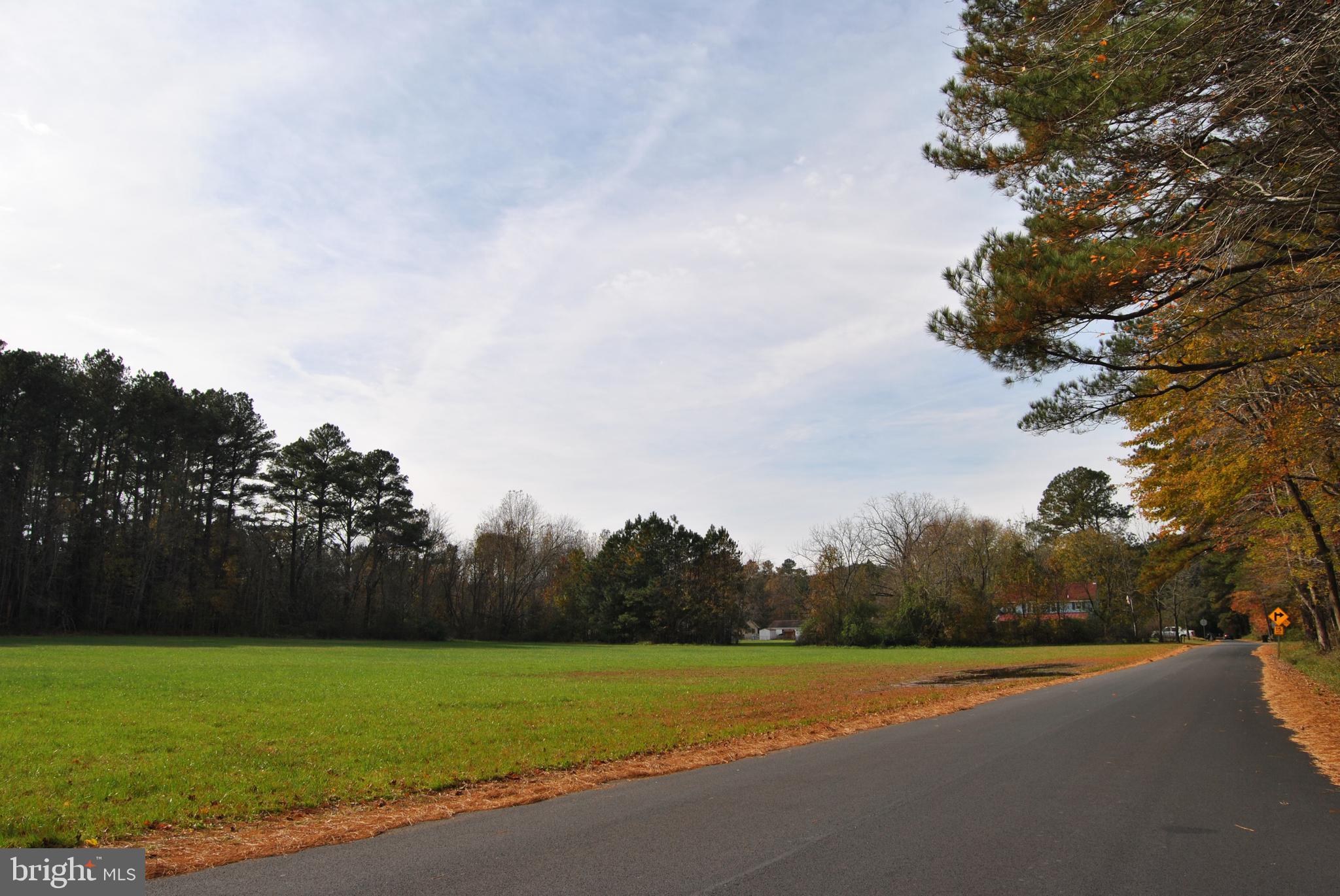 0 Williams Mill Pond Road Delmar, MD 21875 - Photo 3 of 4 a view of a field with an ocean view