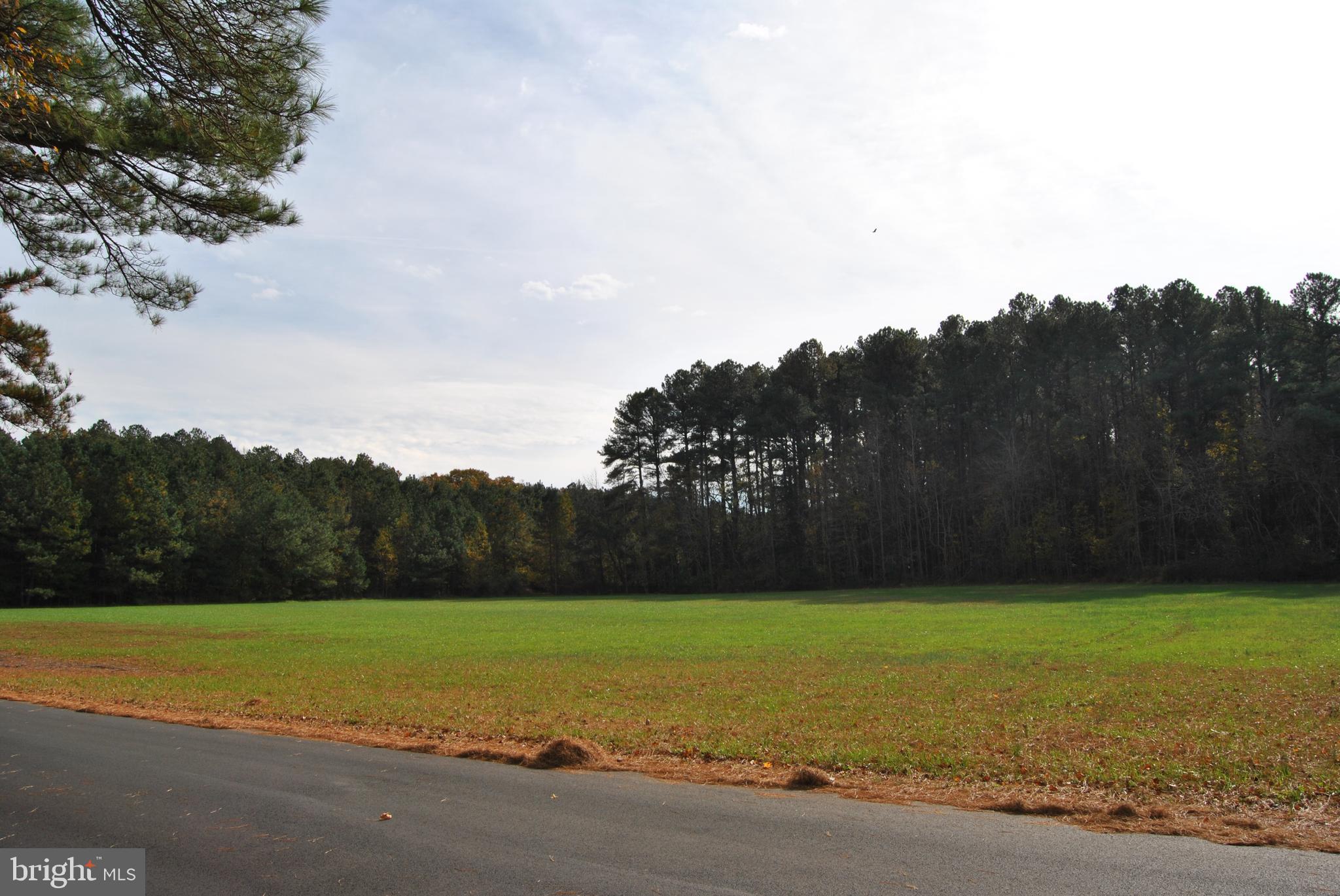 0 Williams Mill Pond Road Delmar, MD 21875 - Photo 4 of 4 a view of a yard