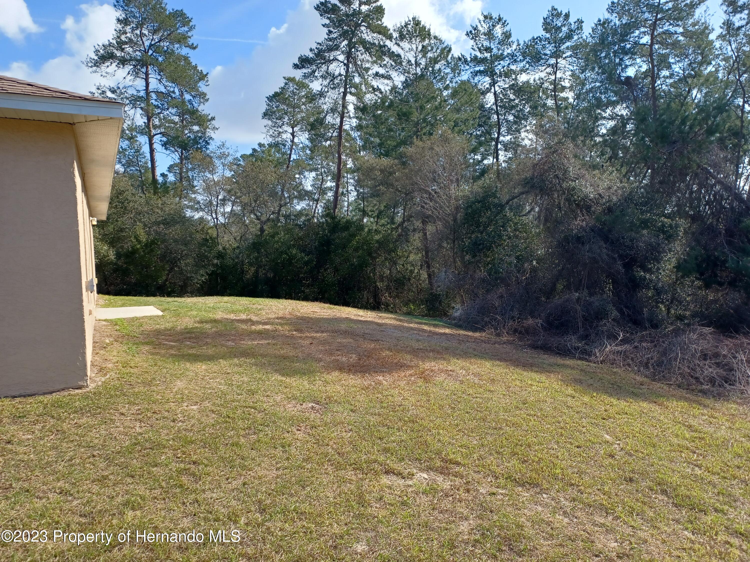 2790 Southwest 165th Street Road Ocala, FL 34473 - Photo 54 of 55 a view of a yard with a trees