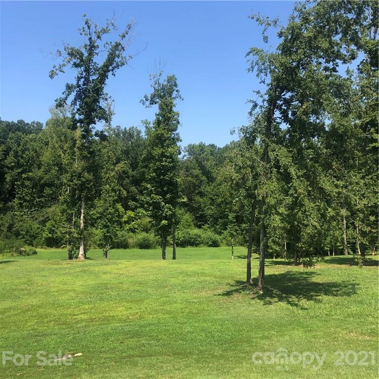 a view of a tree in a park