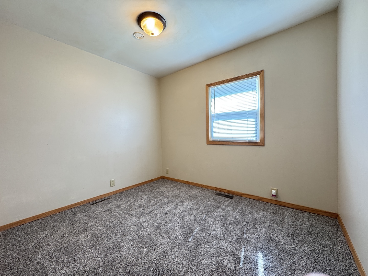 224 West 2nd Place Spring Valley, IL 61362 - Photo 11 of 31