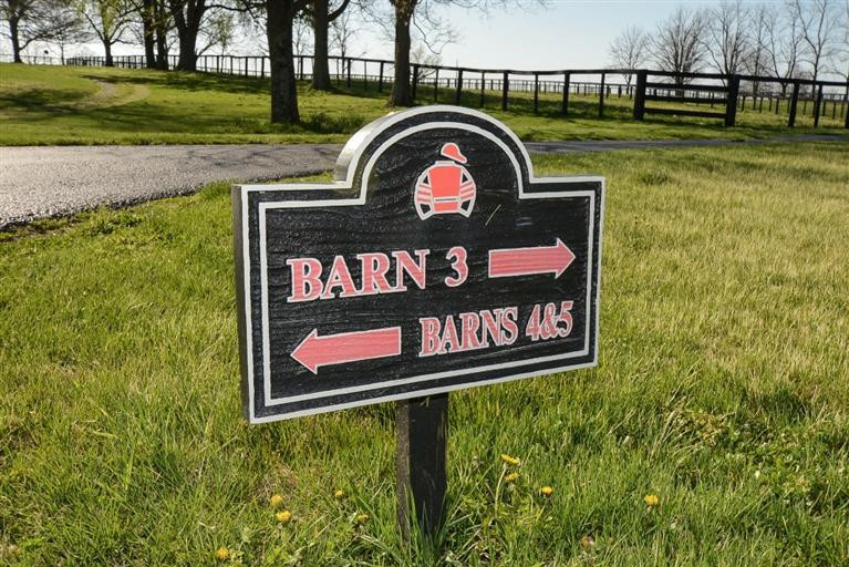 4865 Lexington Road Paris, KY 40361 - Photo 41 of 49 Photo 41
