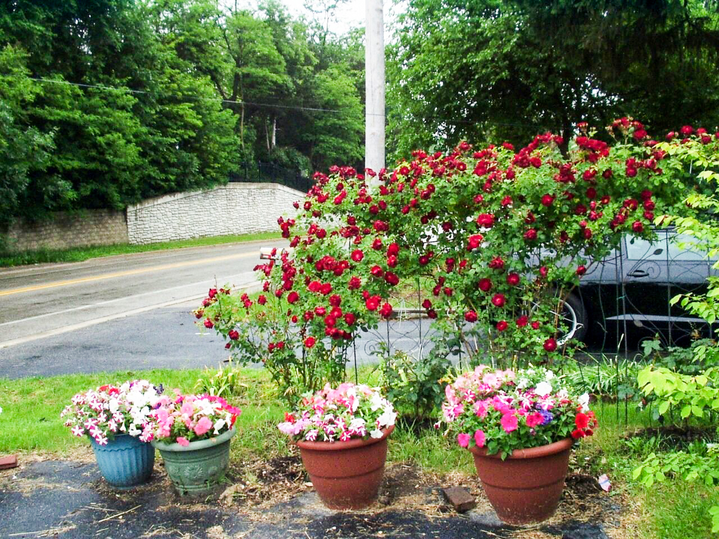 35274 North Wilson Road Ingleside, IL 60041 - Photo 22 of 24 a view of a flowers in front of a house