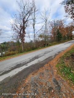184 State Rte 3033 Montrose, PA 18801 - Photo 22 of 23 a view of a yard with large trees