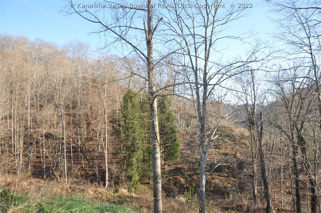 Tbd Fair Chance Road Danville, WV 25053 - Photo 5 of 20 Gallery Image 5