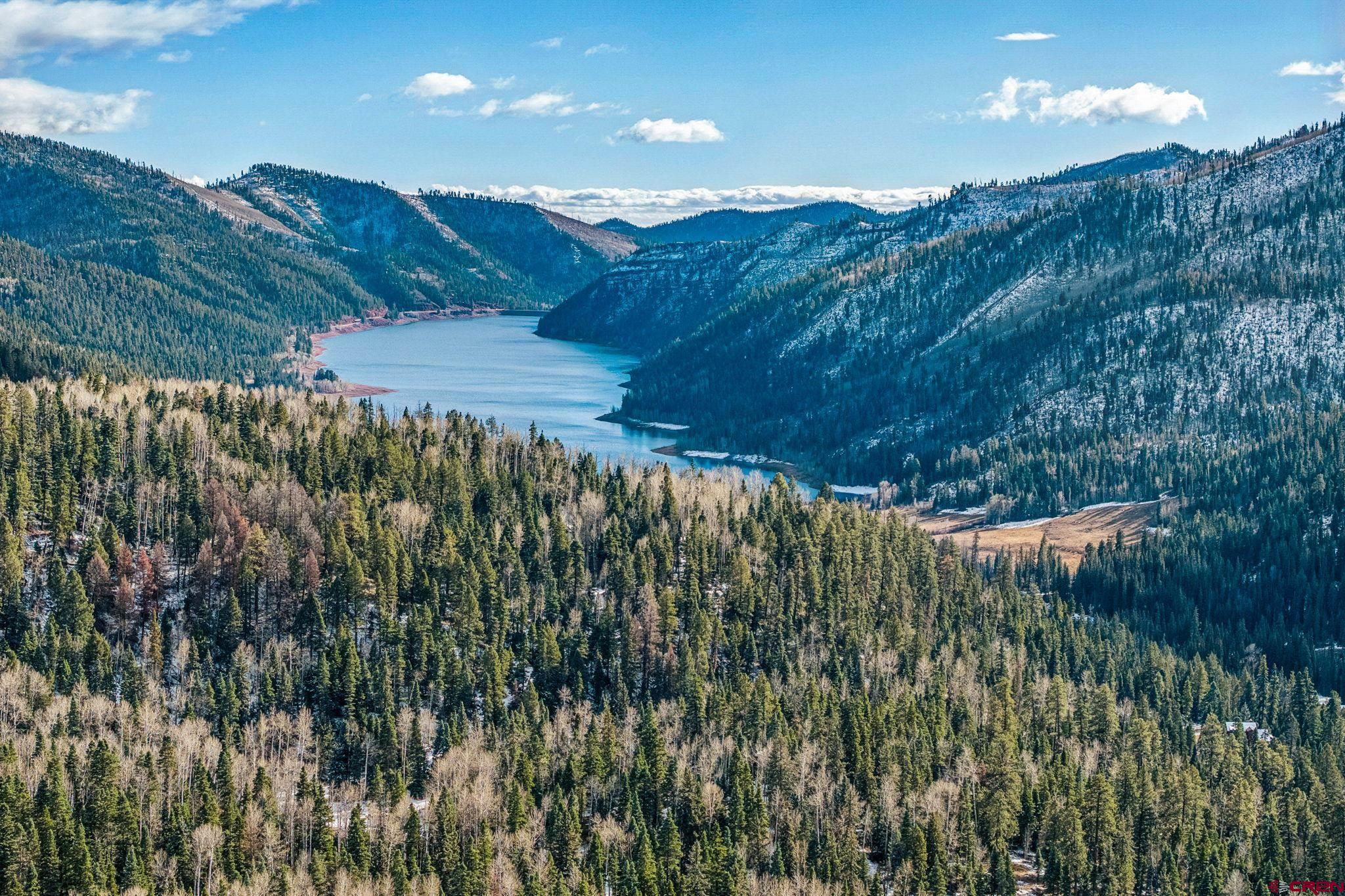 191 Aspen Drive Durango, CO 81301 - Photo 38 of 43 a view of a lush green forest with lots of trees