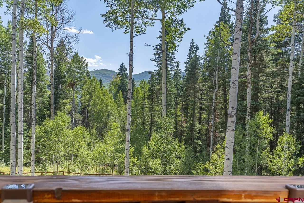 191 Aspen Drive Durango, CO 81301 - Photo 41 of 43