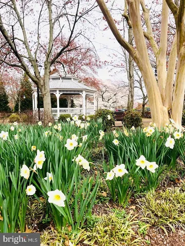 a view of a park with large trees