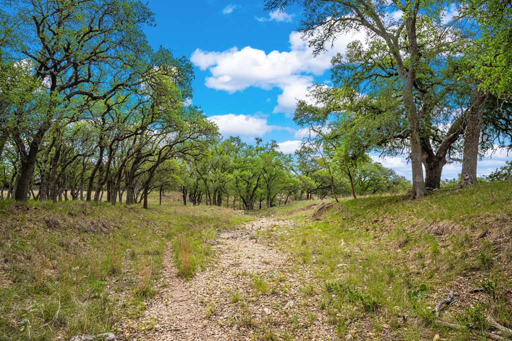 1379 Barker Rogers Road Harper, TX 78631 - Photo 27 of 32 a backyard of a house with lots of green space