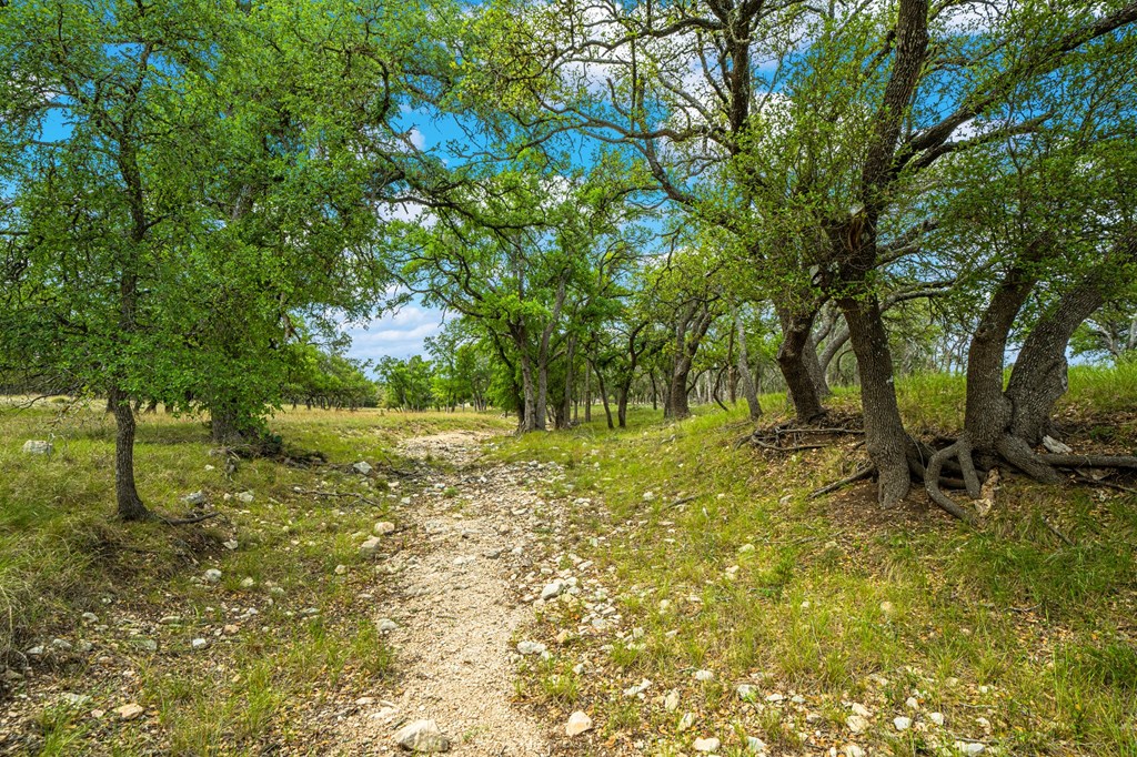 1379 Barker Rogers Road Harper, TX 78631 - Photo 28 of 32 a big yard with lots of green space and house in the back