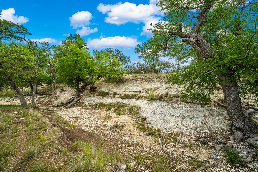1379 Barker Rogers Road Harper, TX 78631 - Photo 6 of 32 a view of a bunch of trees