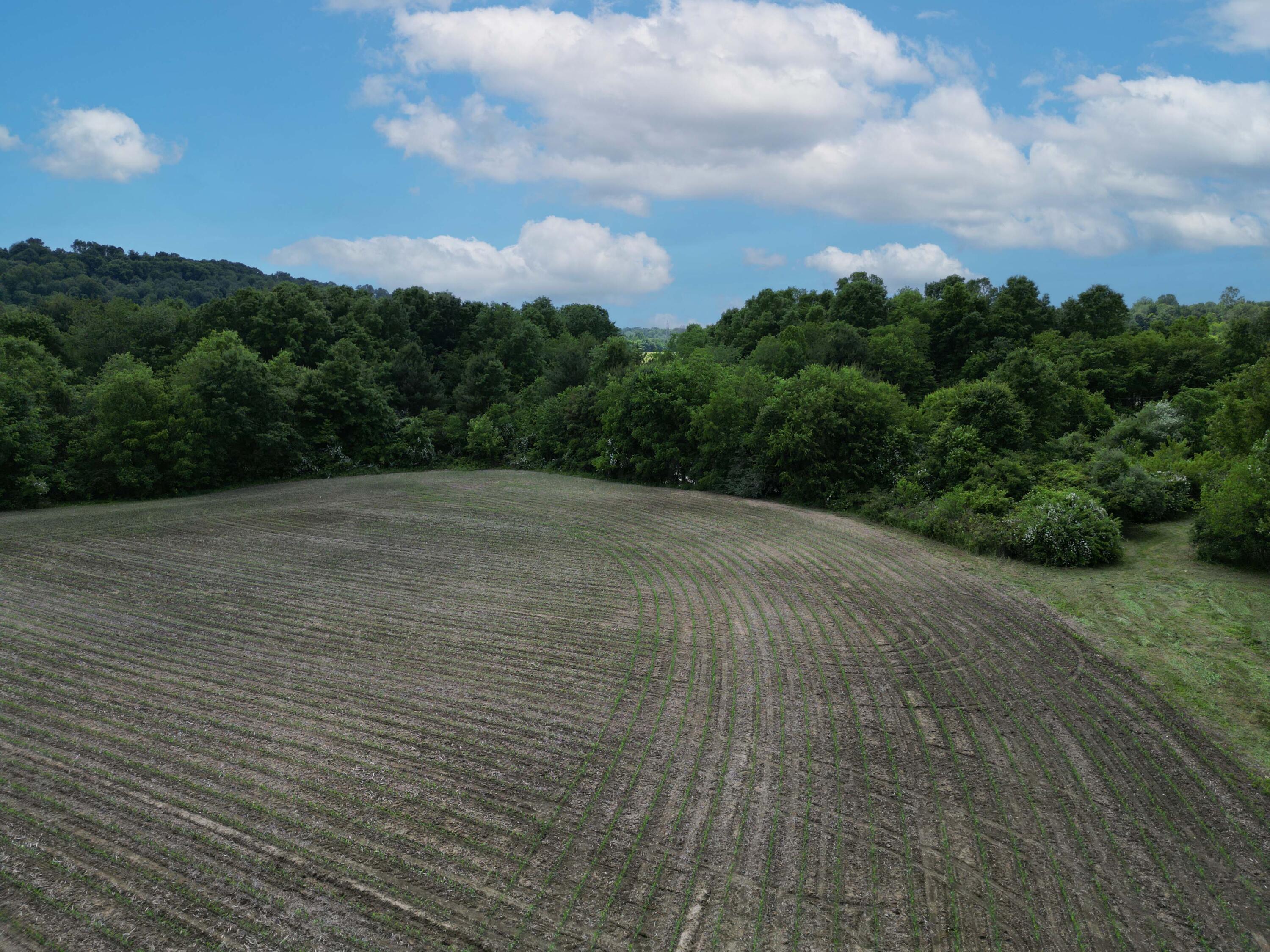 0 Schoolhouse Road Frazeysburg, OH 43822 - Photo 19 of 31 DJI_0581