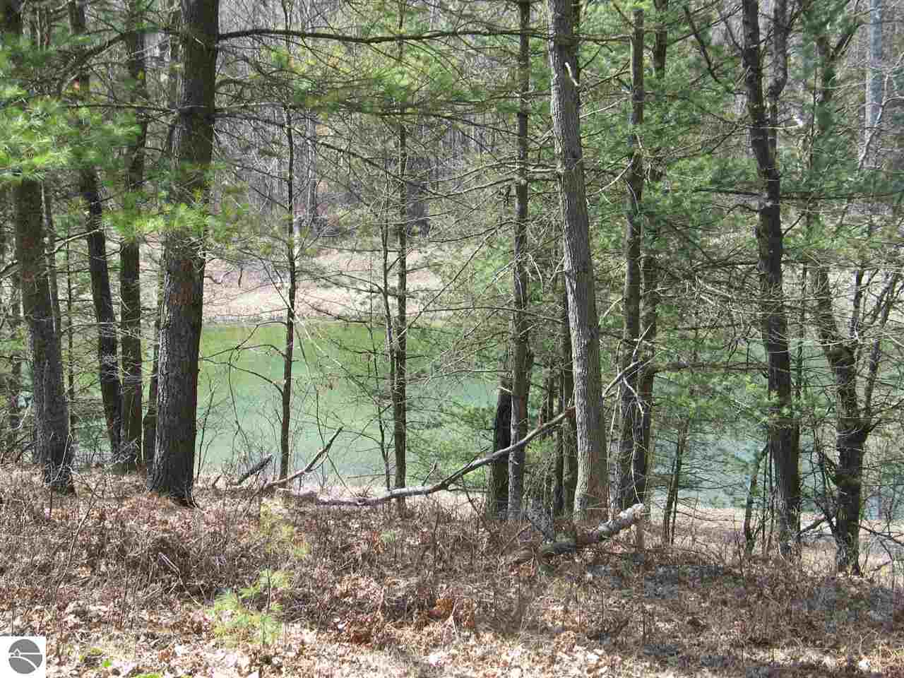 3037 Allen Road Hale, MI 48739 - Photo 9 of 34 1782743-8.JPG