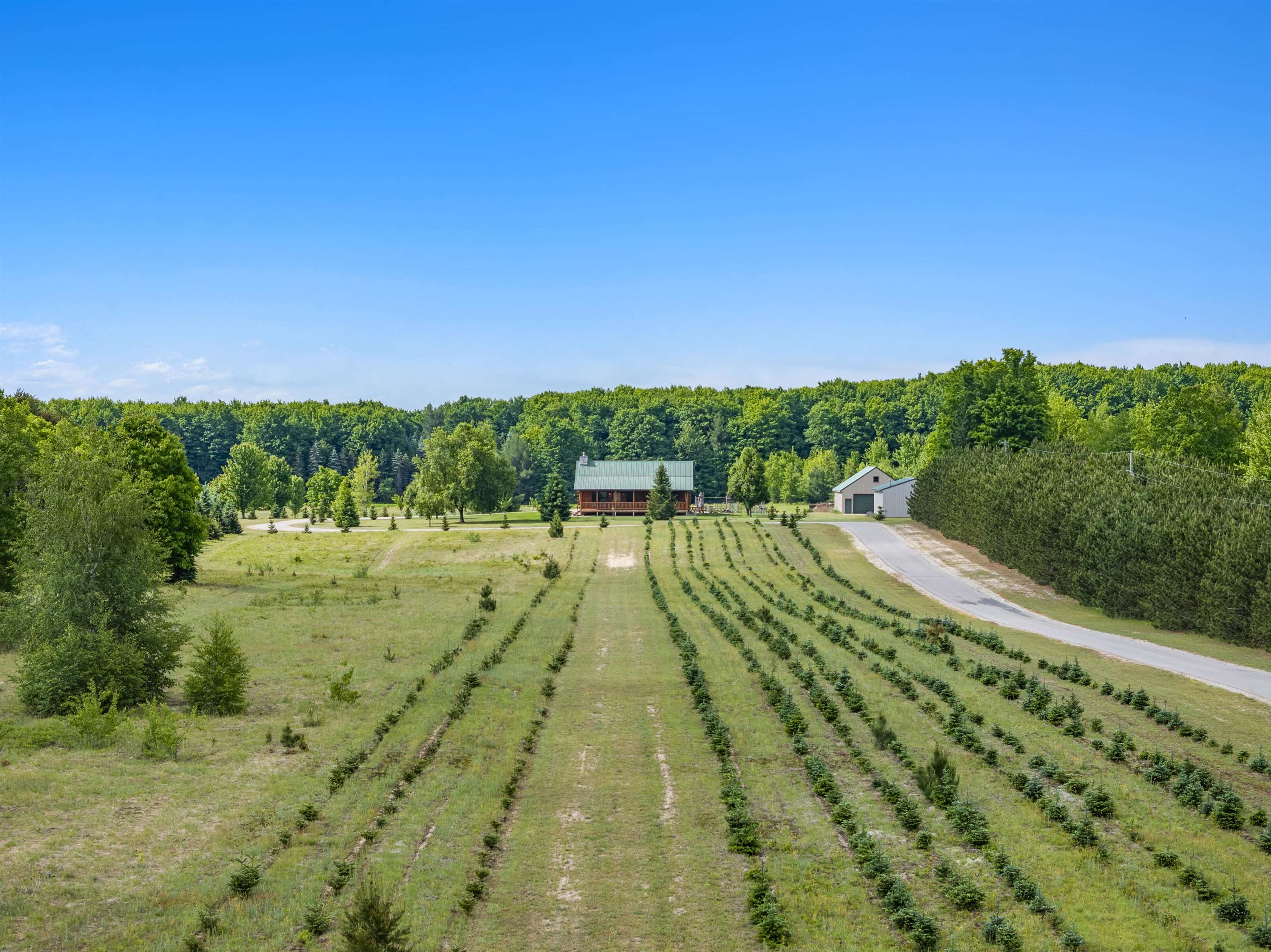 347 Boardman Road South Boardman, MI 49680 - Photo 10 of 66