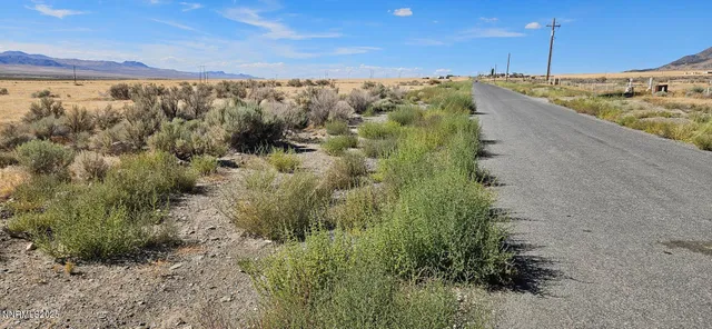 a view of a yard with wooden fence
