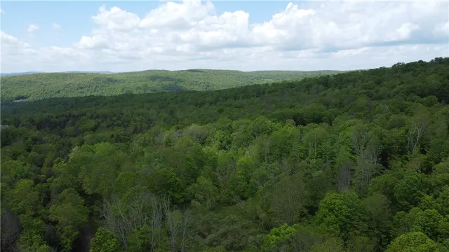 $60,000 | Snake Creek Road, Hancock, NY 13783