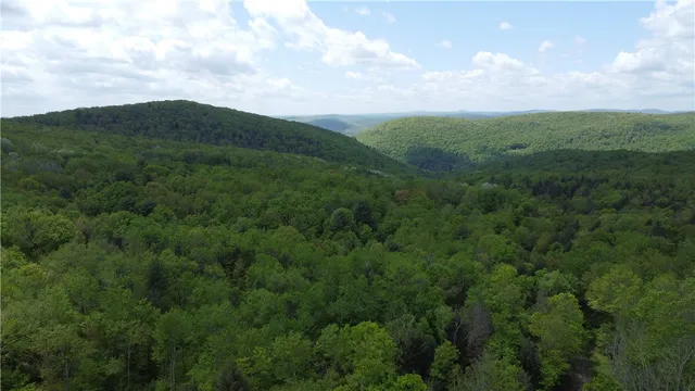 $60,000 | Snake Creek Road, Hancock, NY 13783