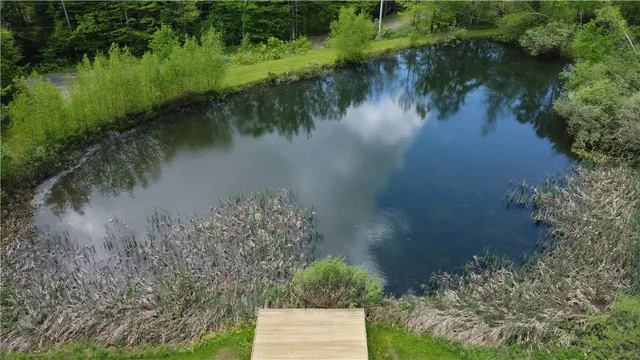 $60,000 | Snake Creek Road, Hancock, NY 13783