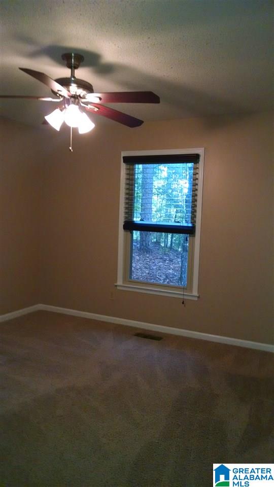 828 Round Hill Road Pelham, AL 35124 - Photo 11 of 19