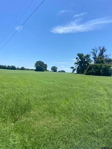 a view of a garden with a building in the background