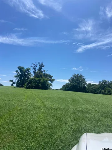 a view of a garden with a house
