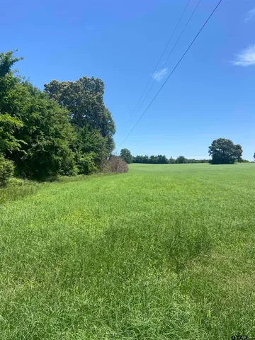 a view of a garden with a building in the background