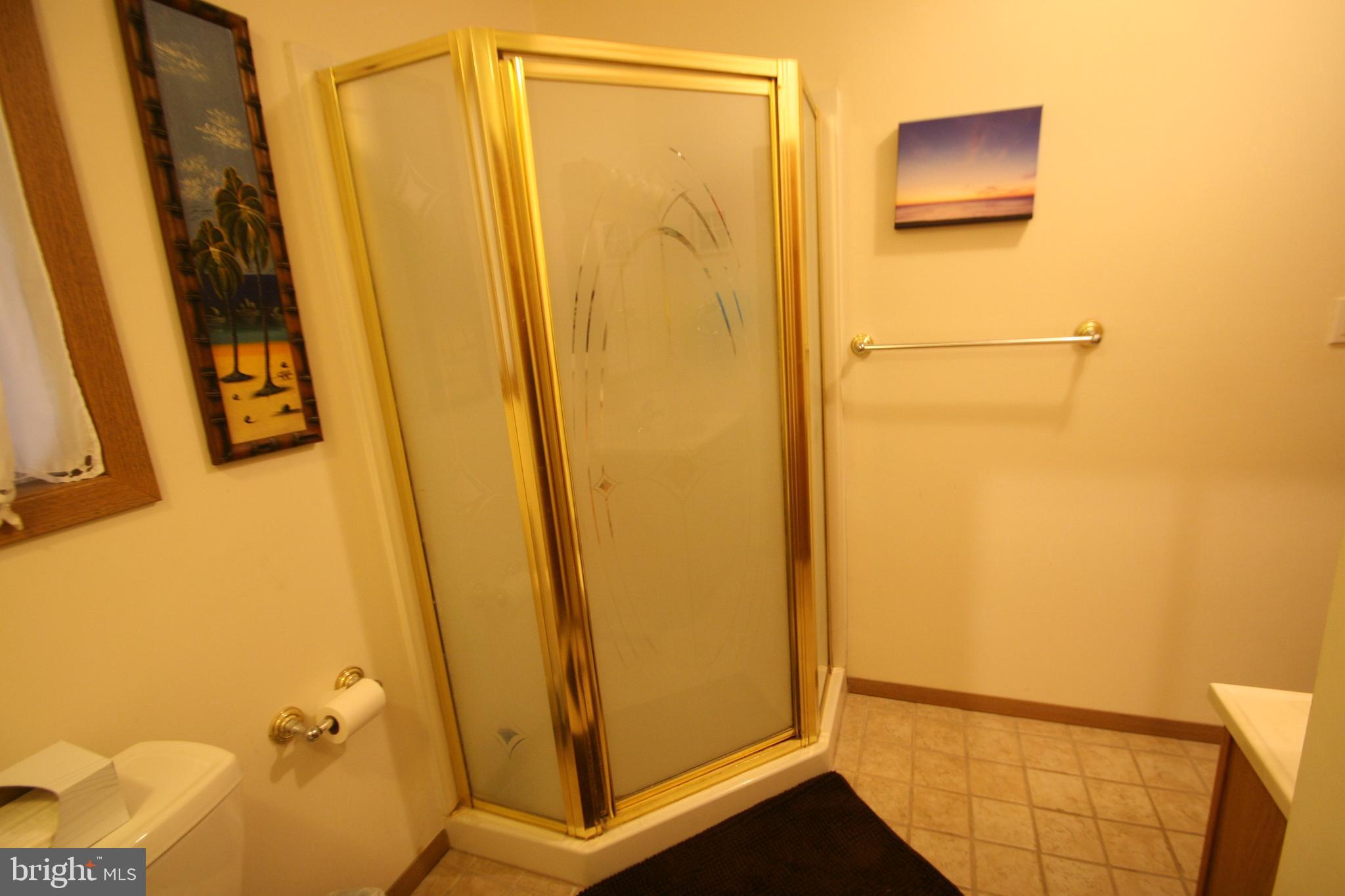 21427 Shore Valley Road Three Springs, PA 17264 - Photo 21 of 39 Main bath w walk-in shower