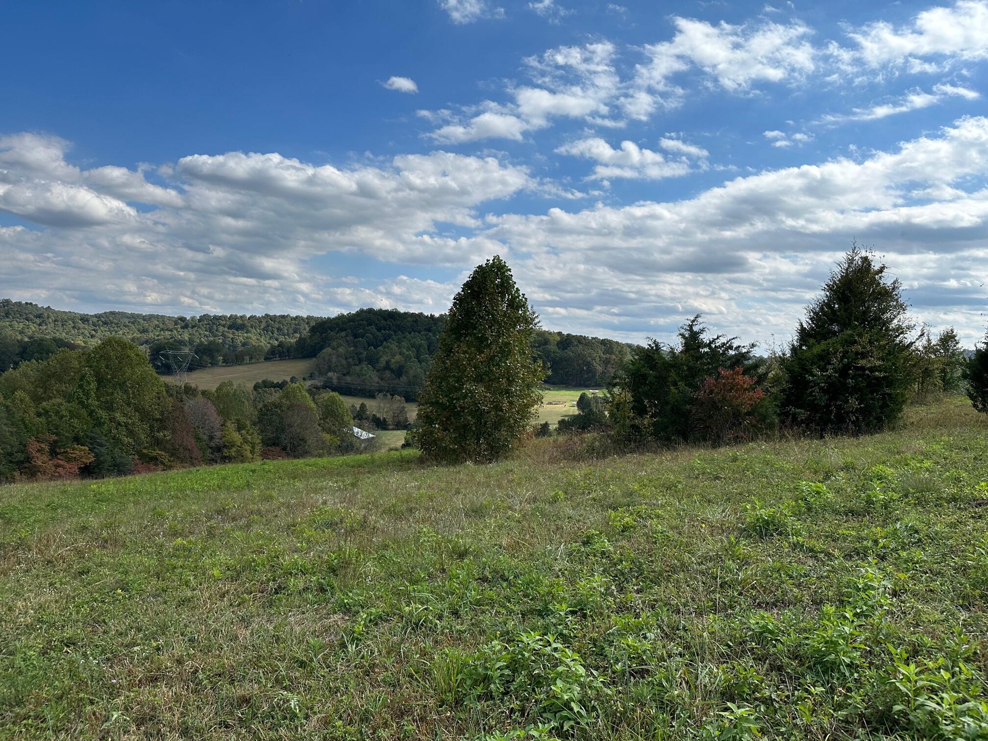 Tbd Jearoldstown Road Chuckey, TN 37641 - Photo 5 of 6 IMG_5530 (1)