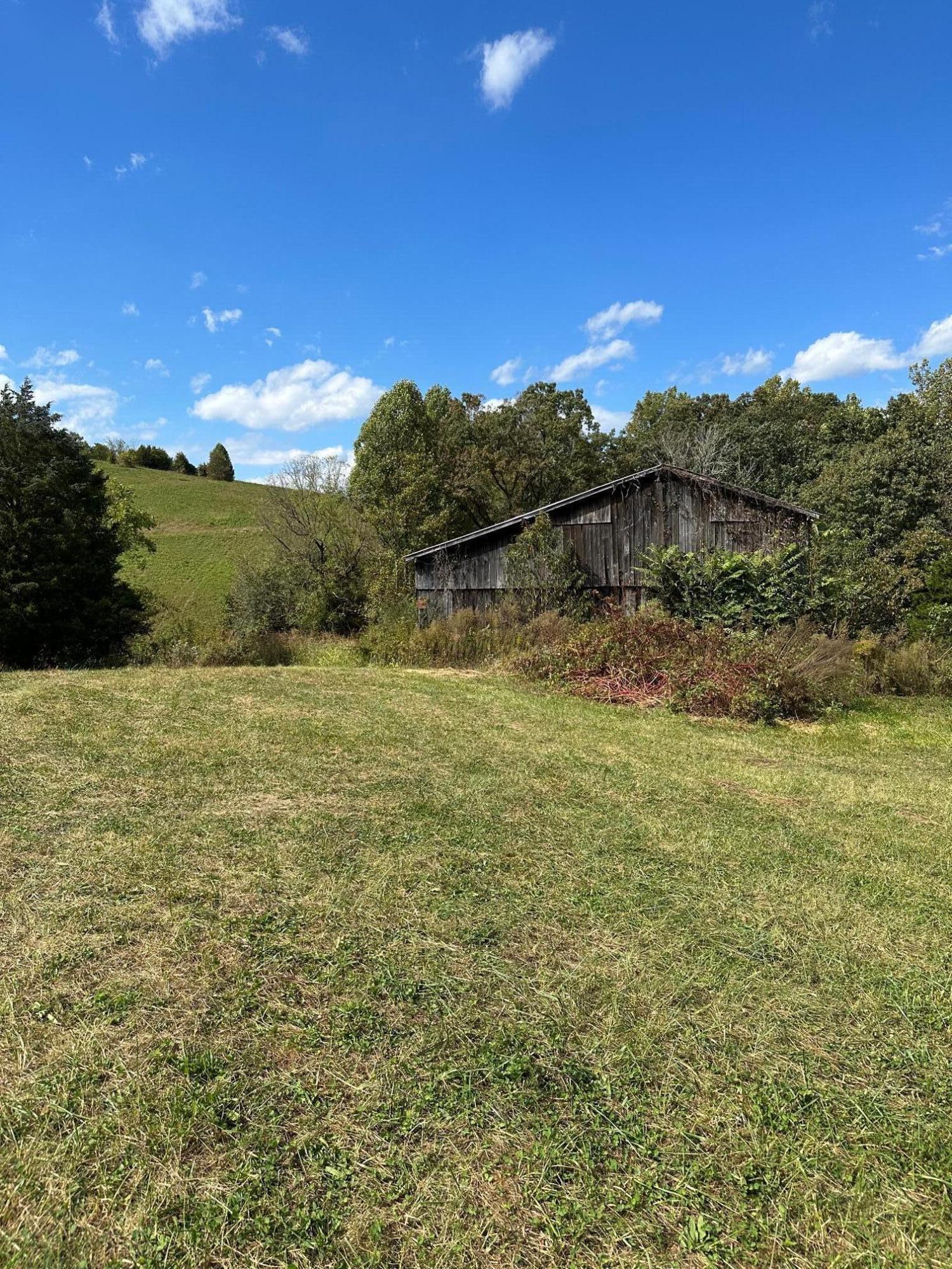 Tbd Jearoldstown Road Chuckey, TN 37641 - Photo 6 of 6 IMG_5531