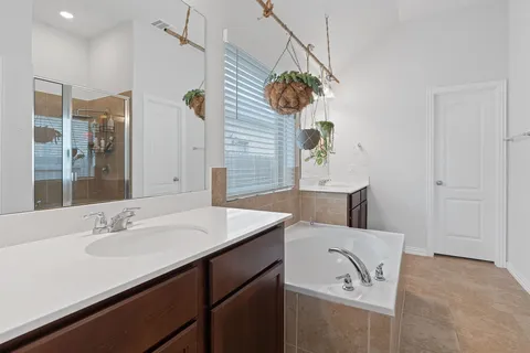 a bathroom with a sink a mirror and a shower