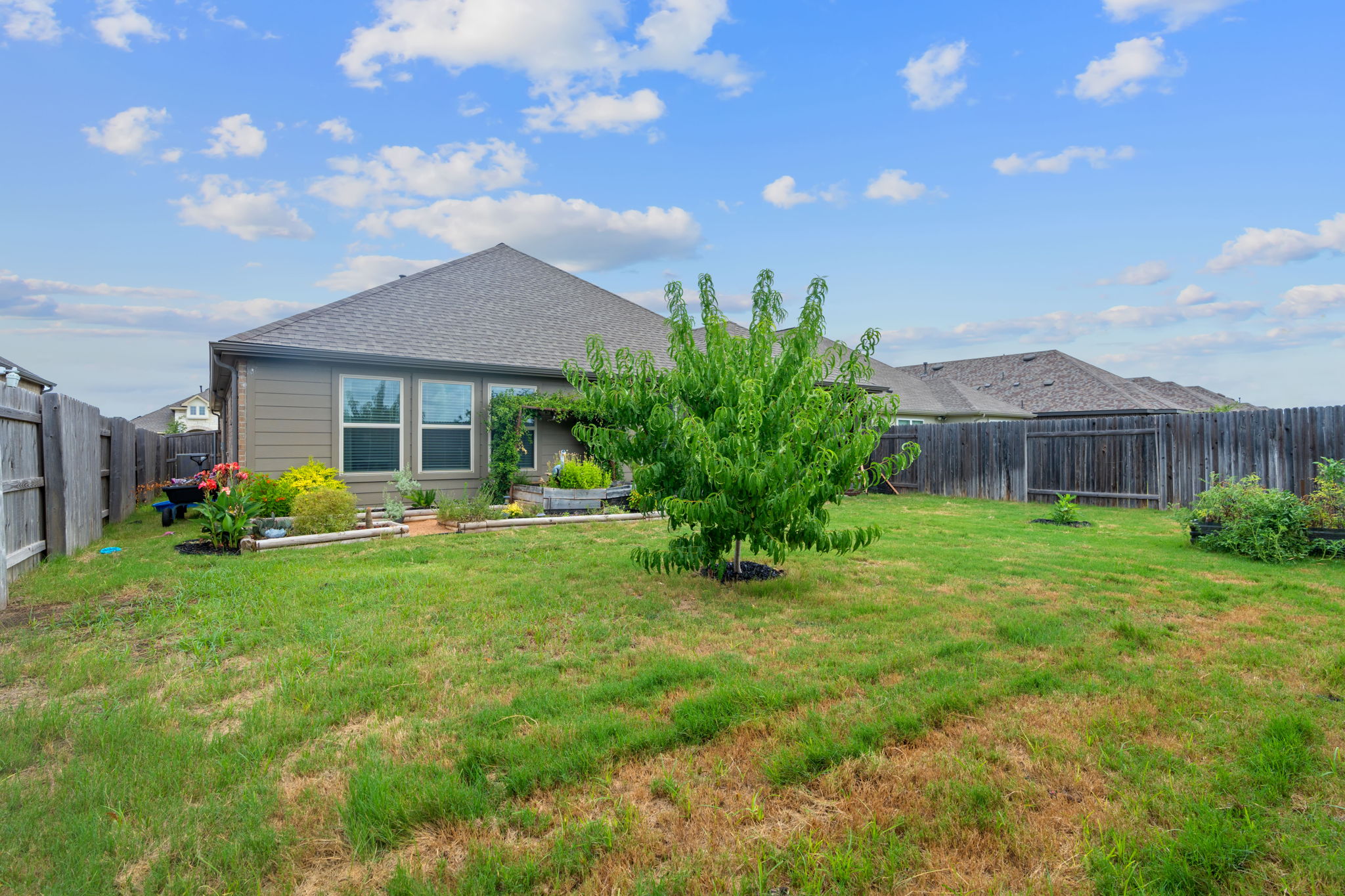213 Treasure Trove Path Kyle, TX 78640 - Photo 29 of 29 Rear view of house featuring a fenced backyard, a patio area, and roof with shingles