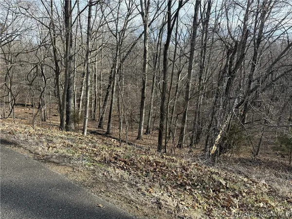 $22,500 | 861 Grand Cypress Court, Sunrise Beach, MO 65079