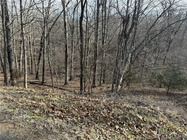 $22,500 | 861 Grand Cypress Court, Sunrise Beach, MO 65079