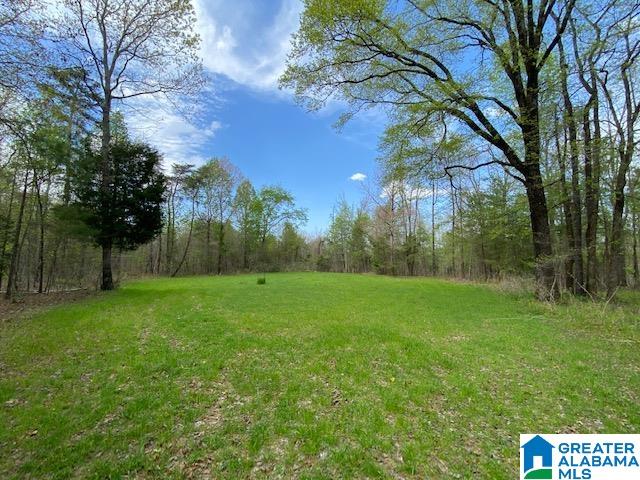 7550 Deer Haven Road, Unit 578 / AC Springville, AL 35146 - Photo 38 of 45 Gallery Image 38