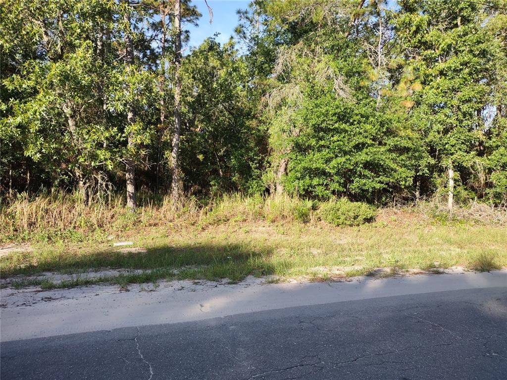 Tba Southwest 151 Loop Ocala, FL 34473 - Photo 1 of 1